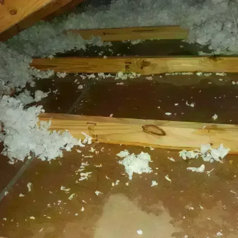 Attic Water Damage in Langston, OK