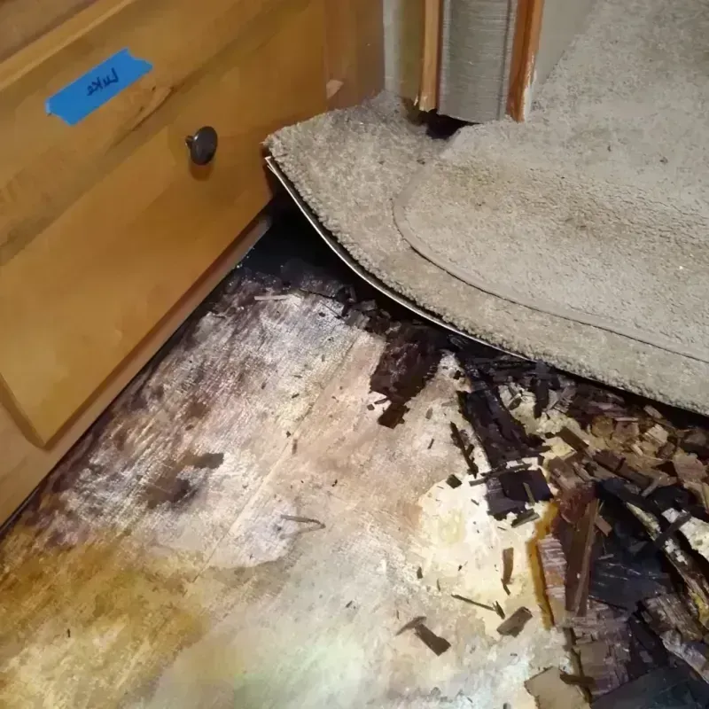 Wood Floor Water Damage in Langston, OK